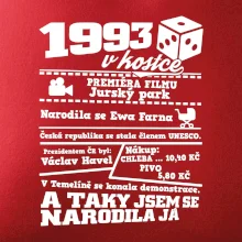 1993 v kostce
