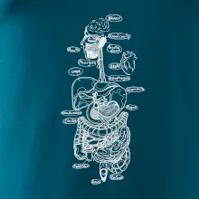 Skica lidských orgánů