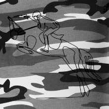 Jízda na koni jedním tahem