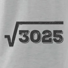 Narozeniny odmocnina 55