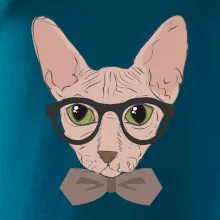 Hipster sphynx