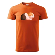 Morče - kreslené z boku