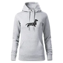 Jezevčík - Dachshund