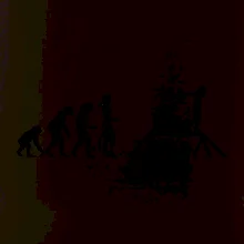 Evoluce agility žena