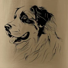 Bernský salašnický pes černá kresba