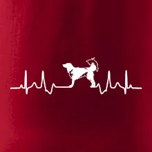 Český strakatý pes EKG