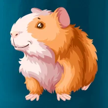 Morče - kreslené, bílo oranžové