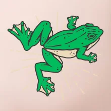 Žába zelená kreslená