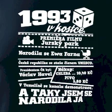 1993 v kostce