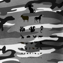 Oční test zvířatka