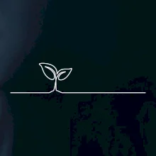 Listy květiny linka