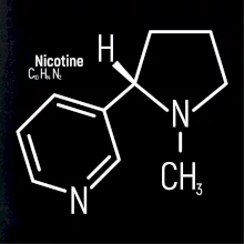 Molekulární struktura Nikotin