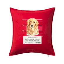 Lump a darebák zlatý retrívr