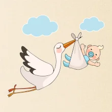 Čáp čekáme miminko - kluk