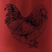 Slepice černobílá