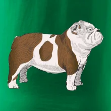 Vintage English bulldog