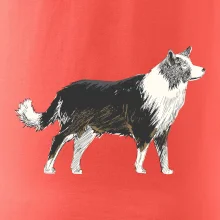 Border kolie kreslená