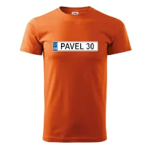 SPZ Pavel 30