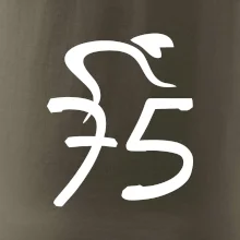 Cyklista slaví pětasedmdesátku (75)