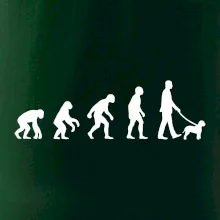 Lagotto romagnolo Evoluce