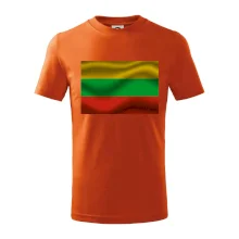 Litva vlajka obdélník