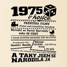1975 v kostce