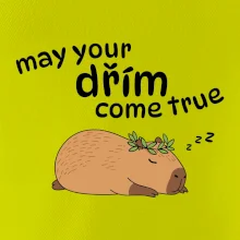 May your dřím come true