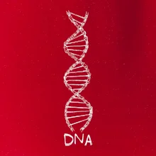 Cyklistovo DNA