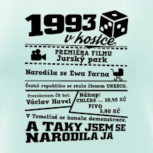 1993 v kostce