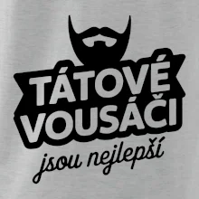 Tátové vousáči jsou nejlepší