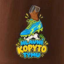 Hlavní kopyto týmu