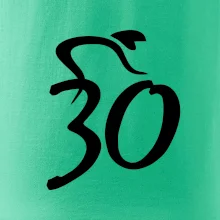 Cyklista slaví třicítku (30)