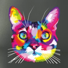 Kočka duhová hlava