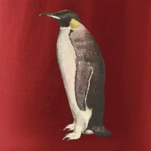 Tučňák kreslený vodovými barvami