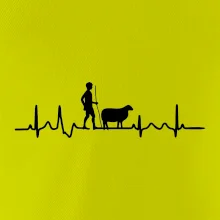 Ekg pastevec ovcí