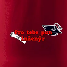 Pro tebe pan Inženýr