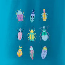 Barevní brouci (studio-arte.cz)