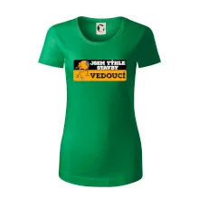 Jsem týhle stavby vedoucí