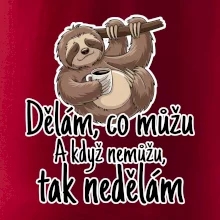 Dělám, co můžu. A když nemůžu, tak nedělám.