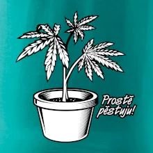 Konopi prostě pěstuju