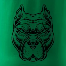 Americký stafordširský teriér hlava