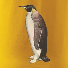 Tučňák kreslený vodovými barvami