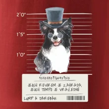 Lump a darebák border kolie