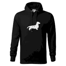 Jezevčík - Dachshund