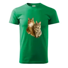 Kočky vectorizované  (Moňas)