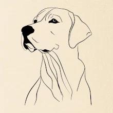 Labrador černá kresba