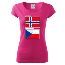 Norská a česká vlajka