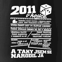 2011 v kostce