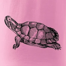 Tužkou kreslená želva