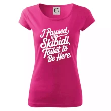 I Paused My Skibidi Toilet to be Here